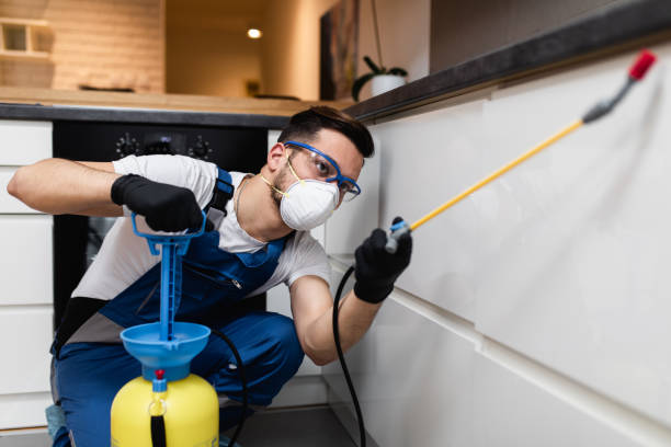 Best Termite Control Services  in North Bonneville, WA