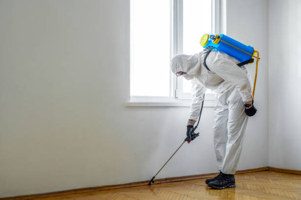 Best Flea Control Services  in North Bonneville, WA
