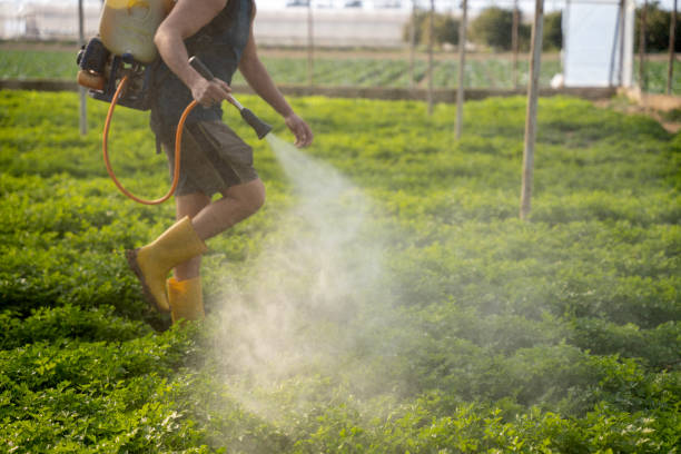 Best Pest Control for Restaurants  in North Bonneville, WA