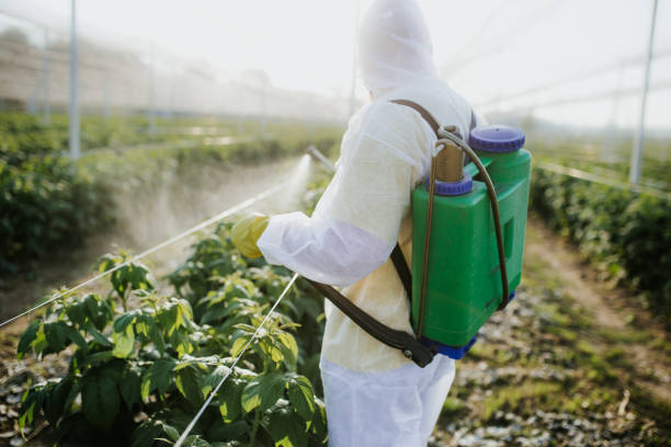 Best Pest Control for Restaurants  in North Bonneville, WA